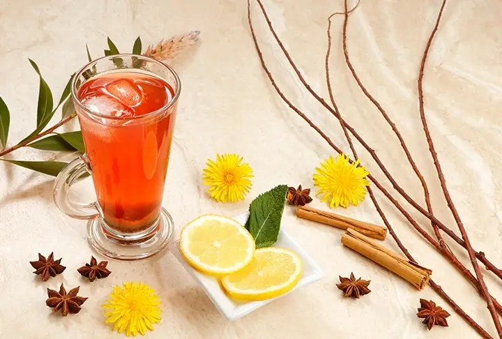 Soğuk Lipton Kuşburnu Meyve Çayı