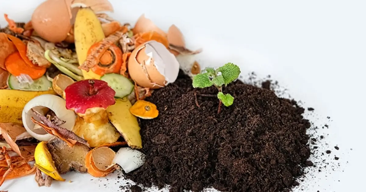 Geri Dönüşüm 101 | Yemekte Keyif Var