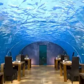Gidebileceğiniz Sualtı Restoranları